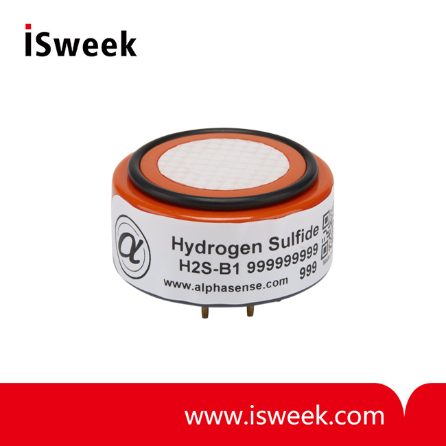 Hydrogen Sulfide Sensor (H2S Sensor)